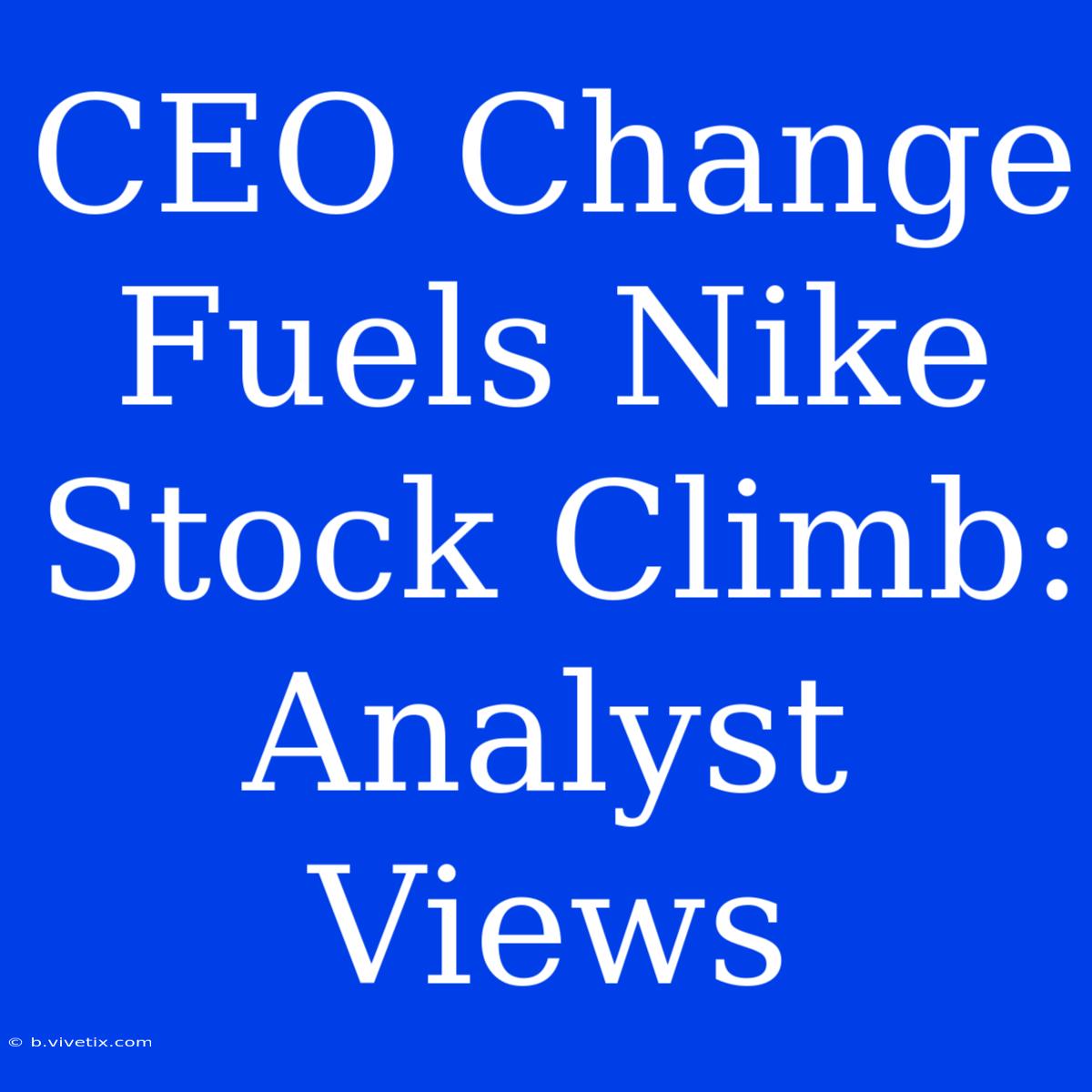 CEO Change Fuels Nike Stock Climb: Analyst Views