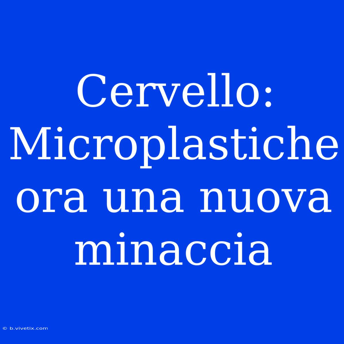 Cervello: Microplastiche Ora Una Nuova Minaccia