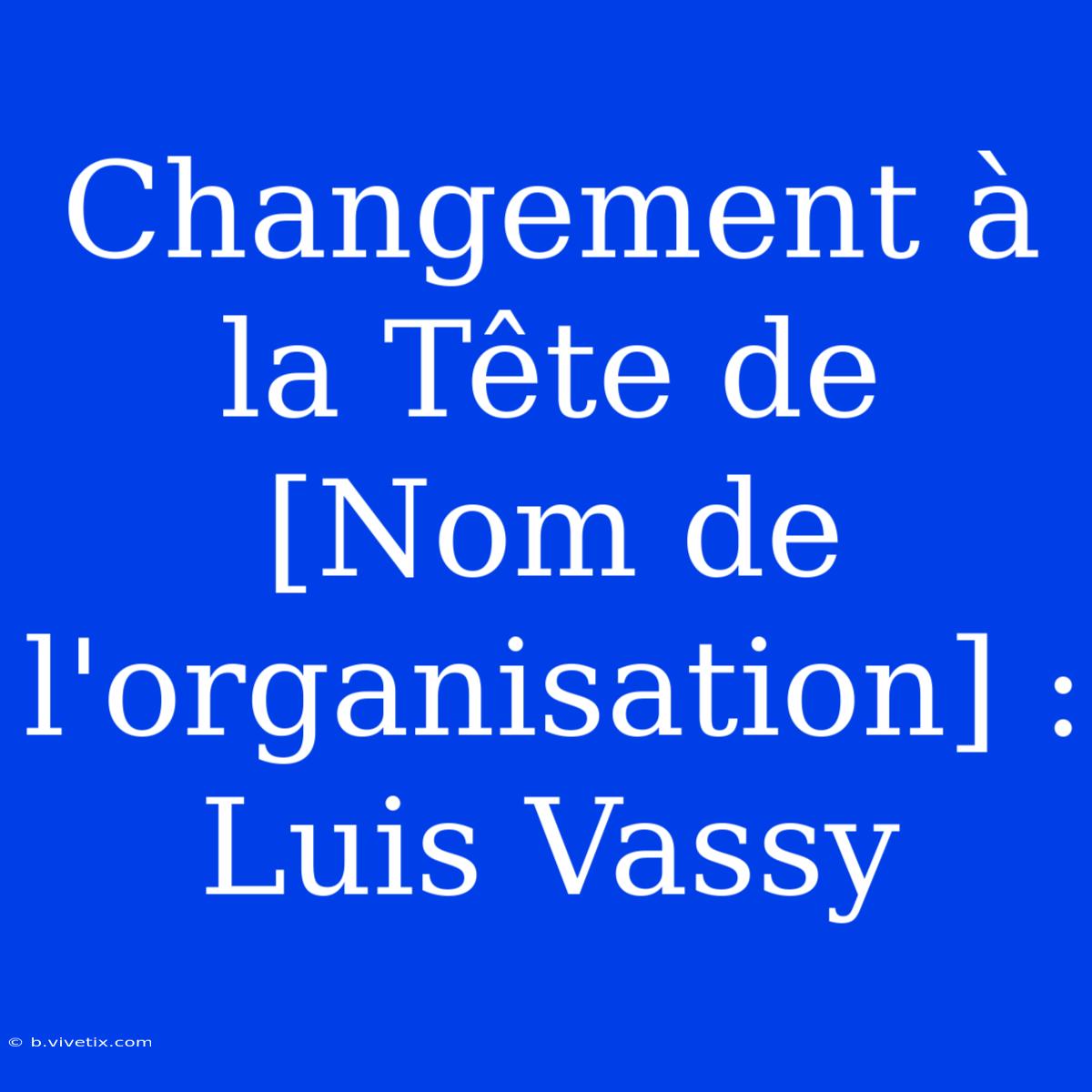 Changement À La Tête De [Nom De L'organisation] : Luis Vassy