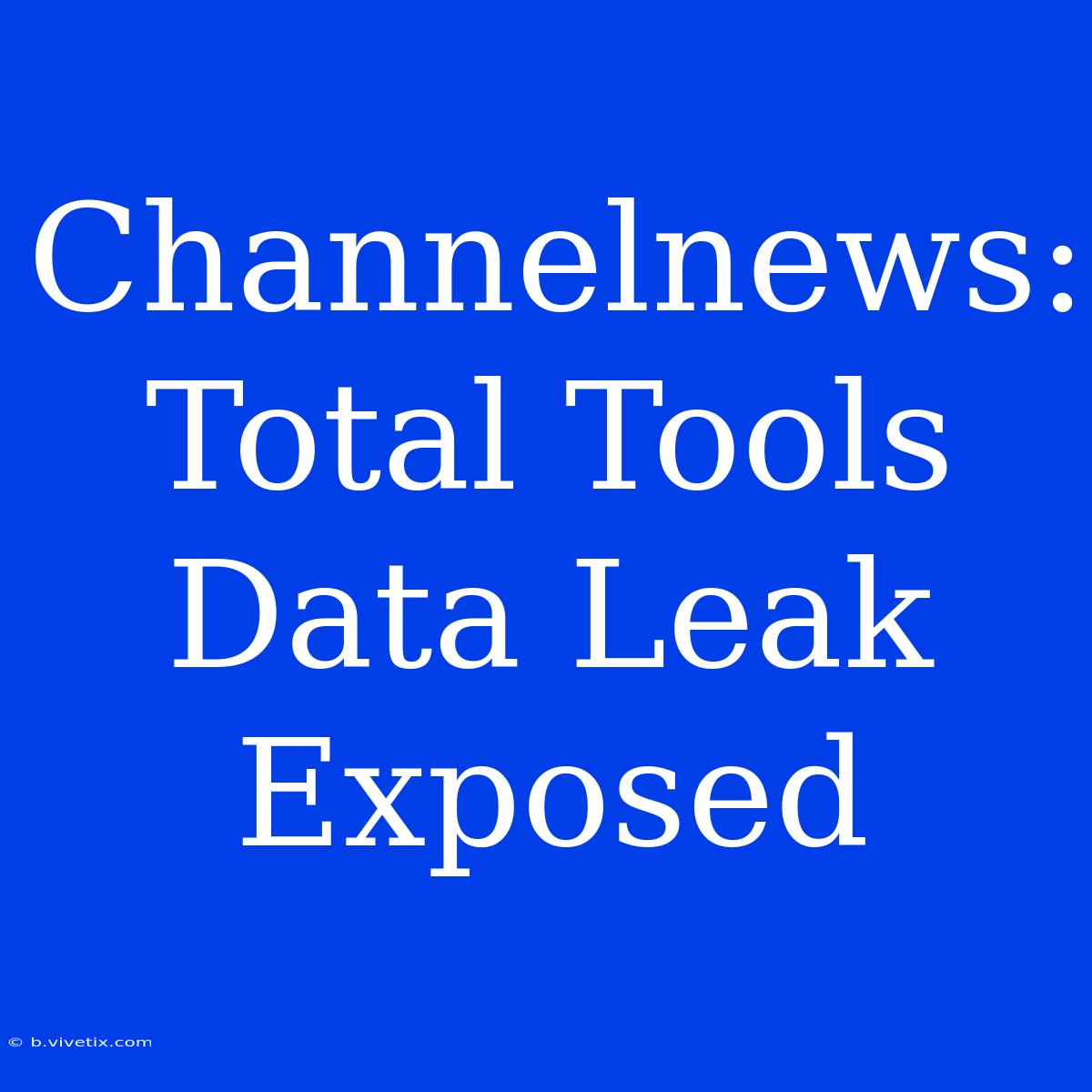 Channelnews: Total Tools Data Leak Exposed