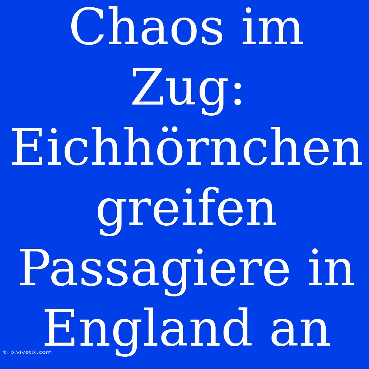 Chaos Im Zug: Eichhörnchen Greifen Passagiere In England An