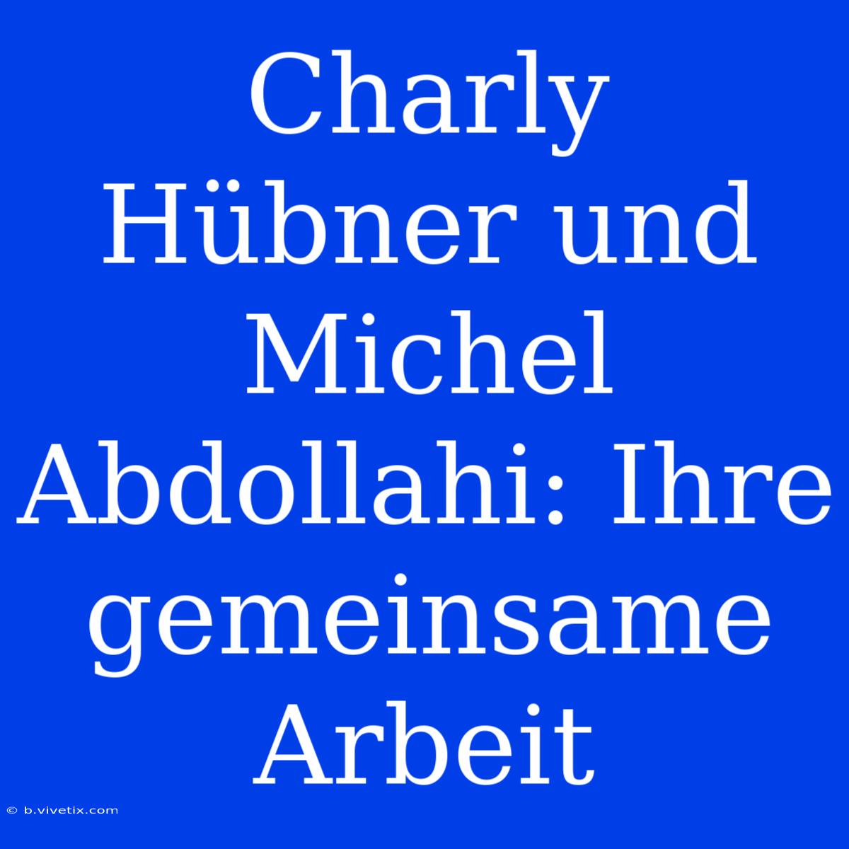 Charly Hübner Und Michel Abdollahi: Ihre Gemeinsame Arbeit