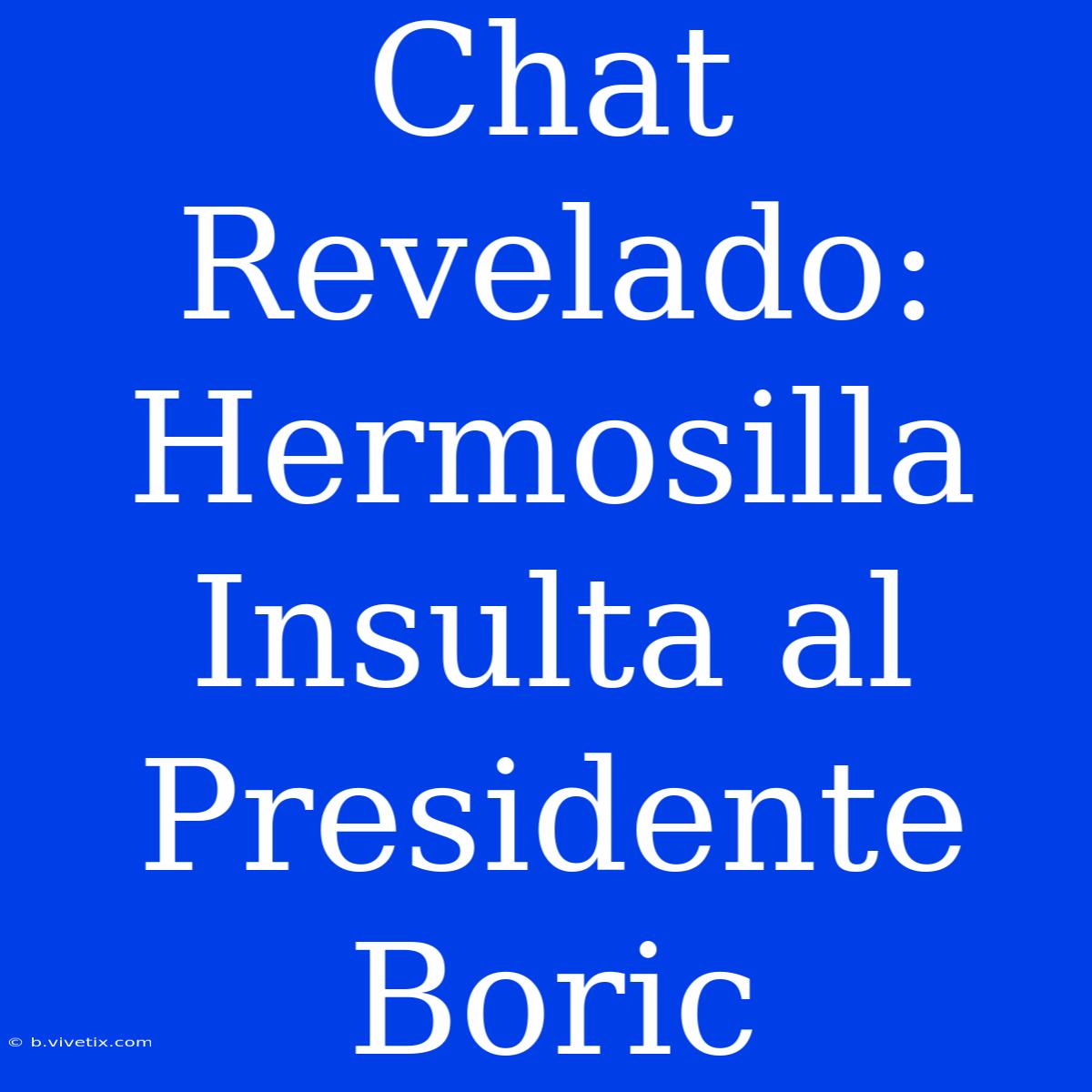 Chat Revelado: Hermosilla Insulta Al Presidente Boric