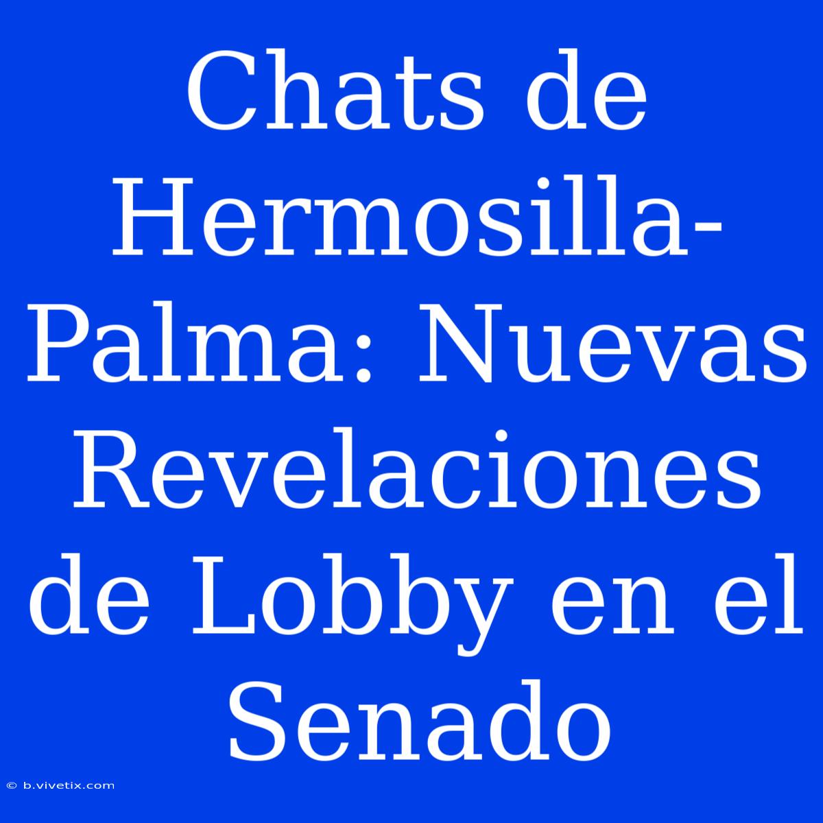 Chats De Hermosilla-Palma: Nuevas Revelaciones De Lobby En El Senado 