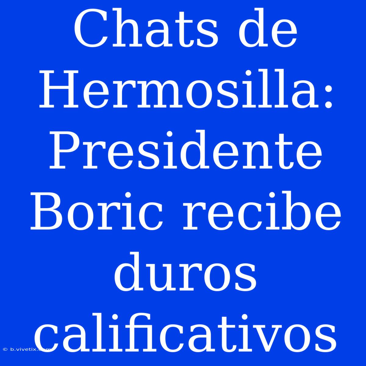 Chats De Hermosilla: Presidente Boric Recibe Duros Calificativos