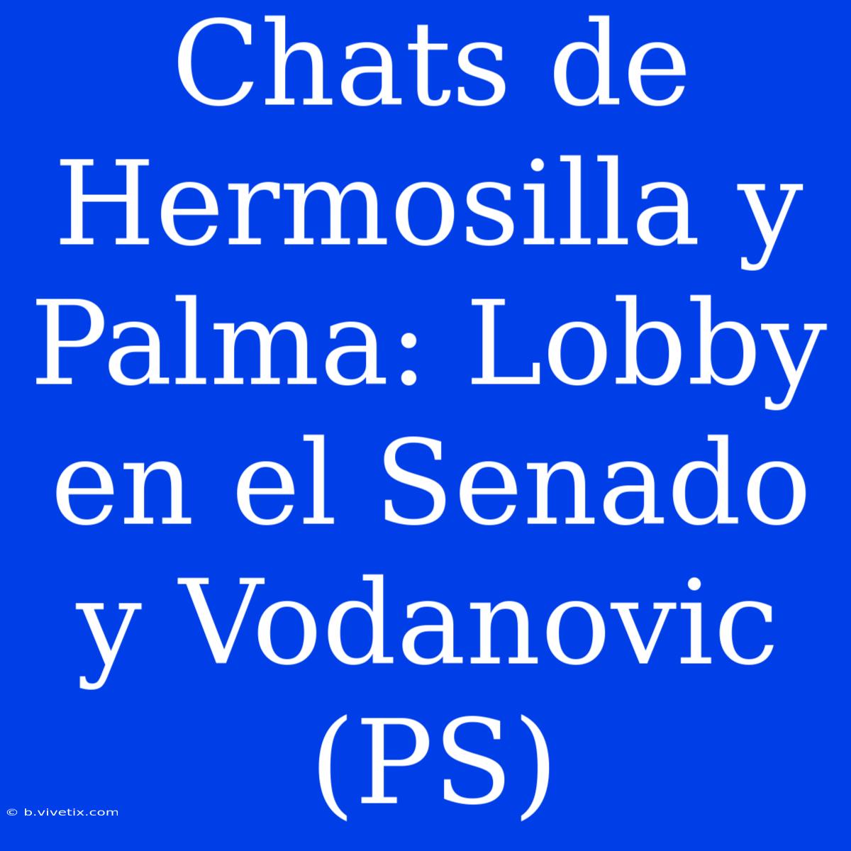 Chats De Hermosilla Y Palma: Lobby En El Senado Y Vodanovic (PS) 