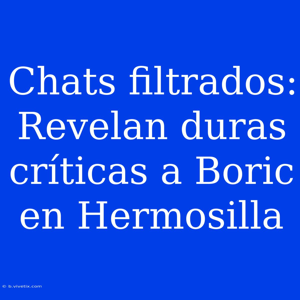 Chats Filtrados: Revelan Duras Críticas A Boric En Hermosilla