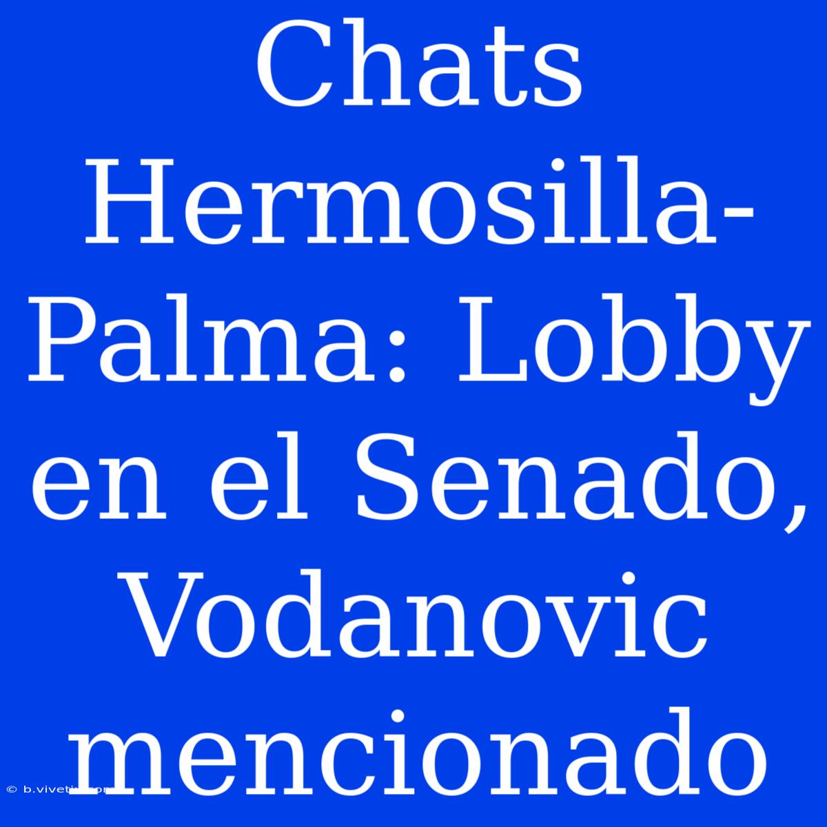 Chats Hermosilla-Palma: Lobby En El Senado, Vodanovic Mencionado