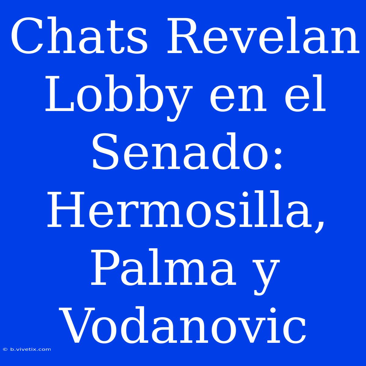 Chats Revelan Lobby En El Senado: Hermosilla, Palma Y Vodanovic 