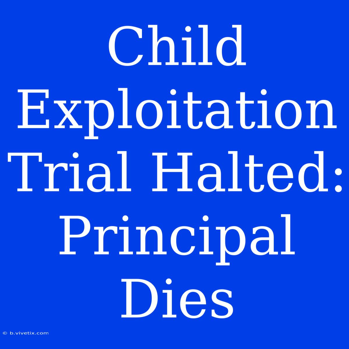 Child Exploitation Trial Halted: Principal Dies