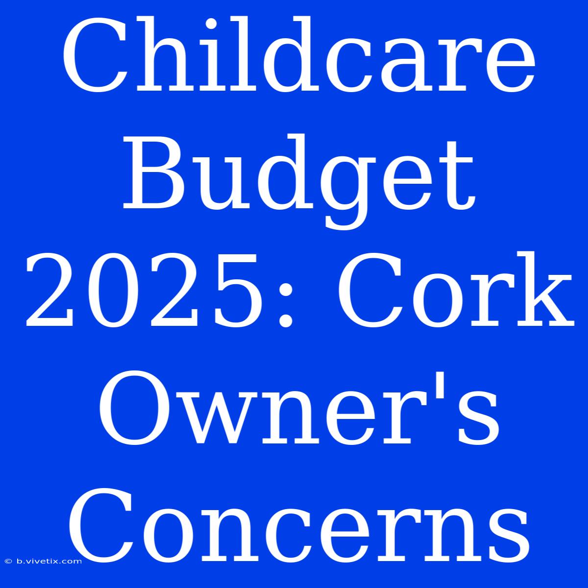 Childcare Budget 2025: Cork Owner's Concerns