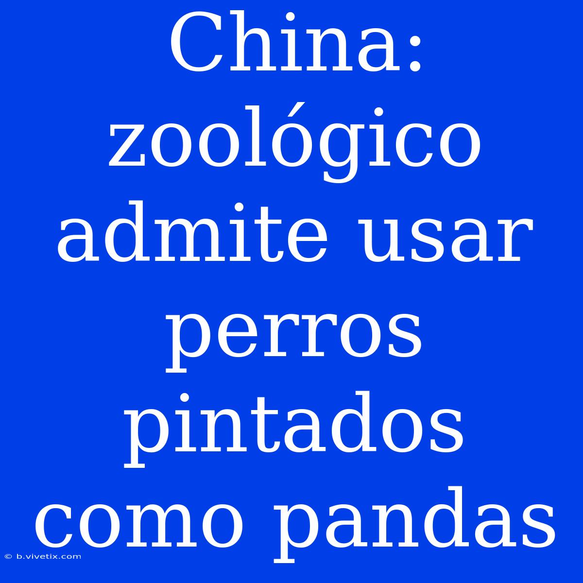 China: Zoológico Admite Usar Perros Pintados Como Pandas