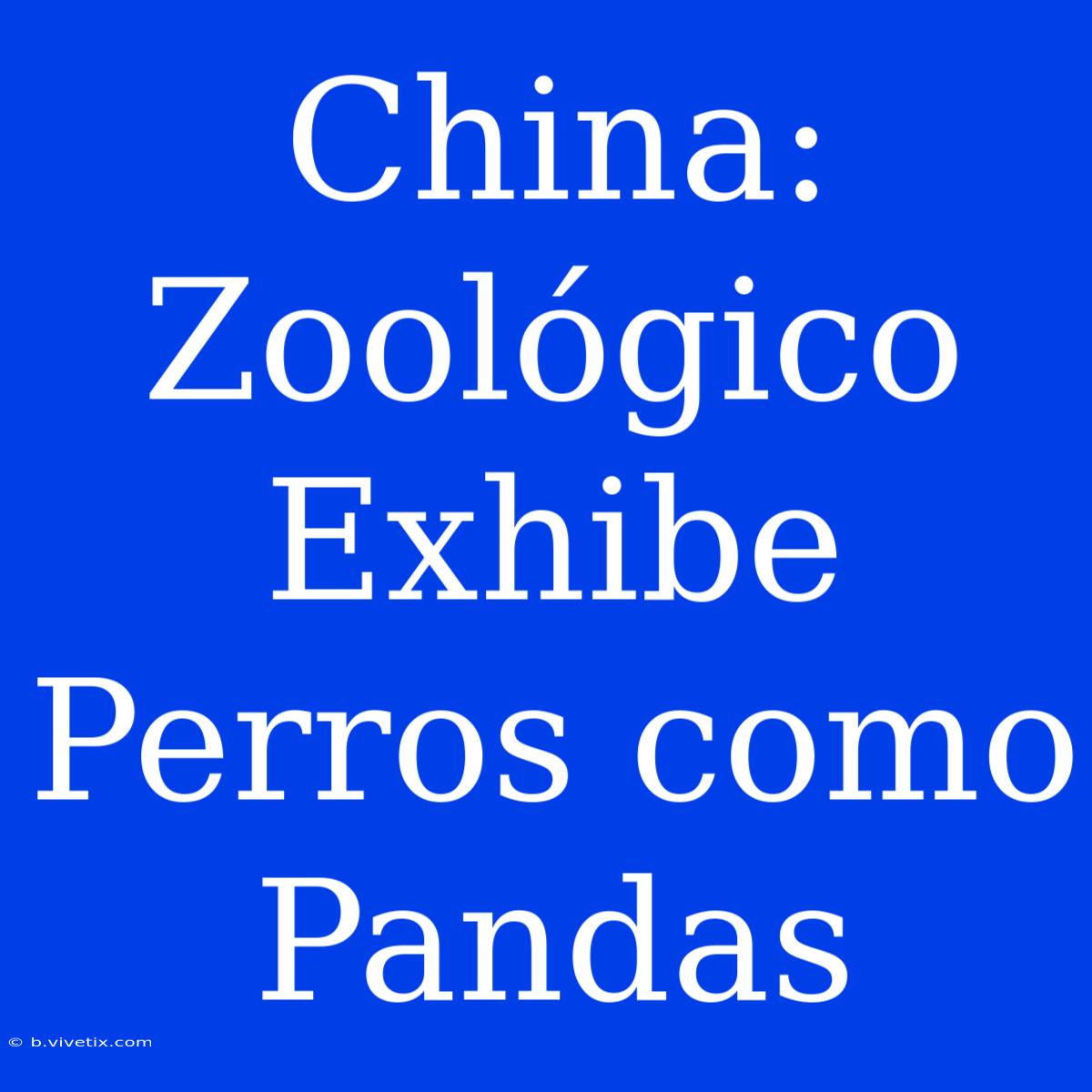 China: Zoológico Exhibe Perros Como Pandas