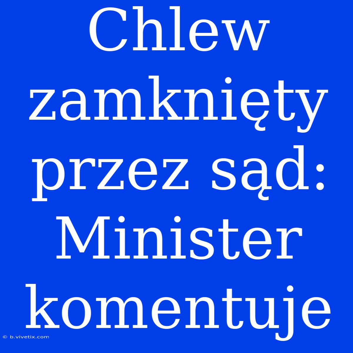 Chlew Zamknięty Przez Sąd: Minister Komentuje