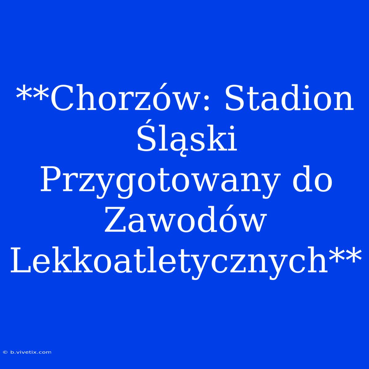 **Chorzów: Stadion Śląski Przygotowany Do Zawodów Lekkoatletycznych** 