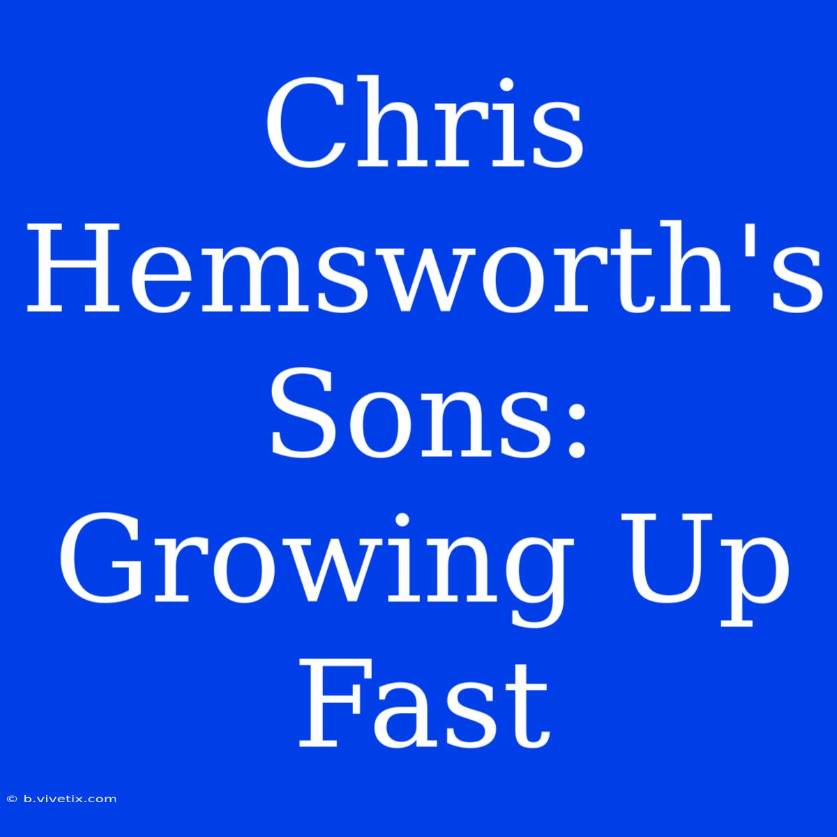 Chris Hemsworth's Sons: Growing Up Fast