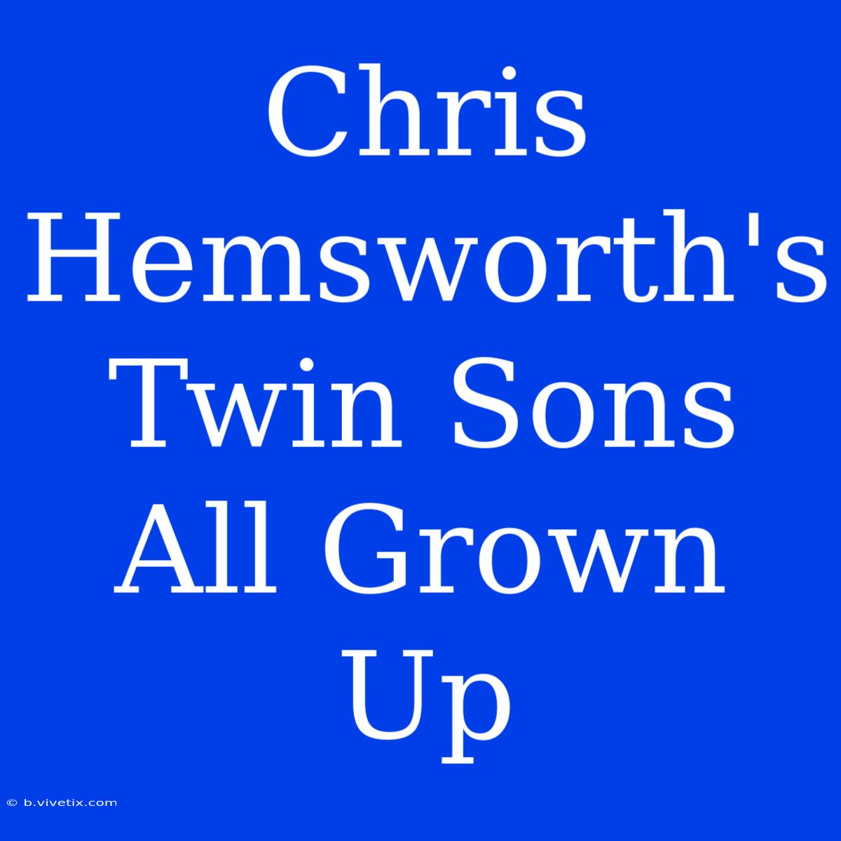 Chris Hemsworth's Twin Sons All Grown Up