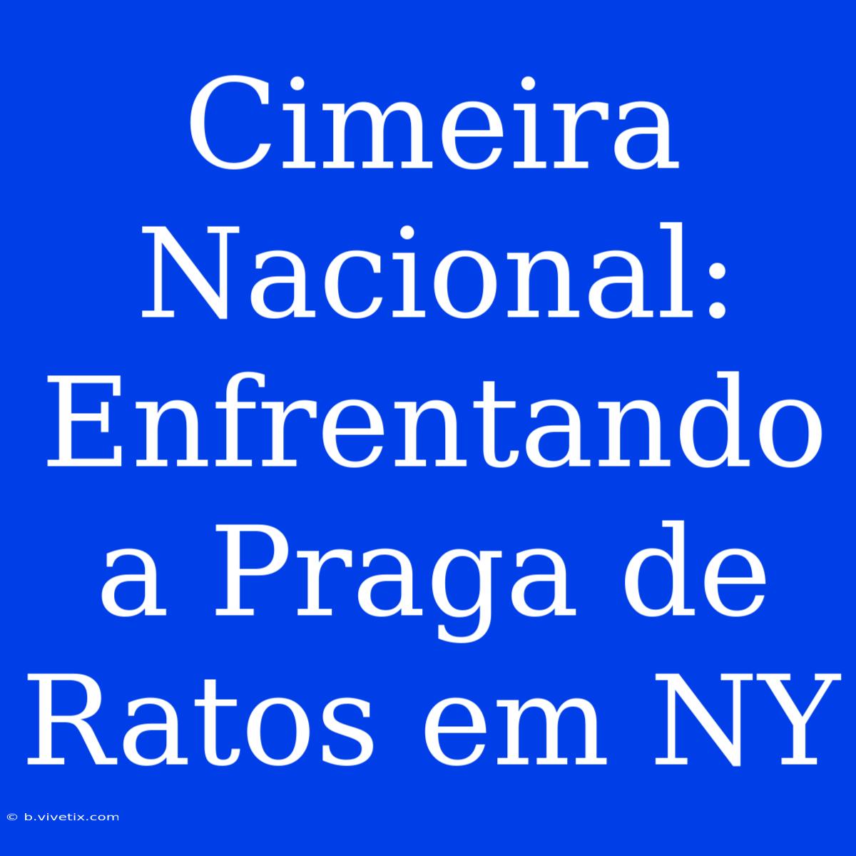 Cimeira Nacional: Enfrentando A Praga De Ratos Em NY