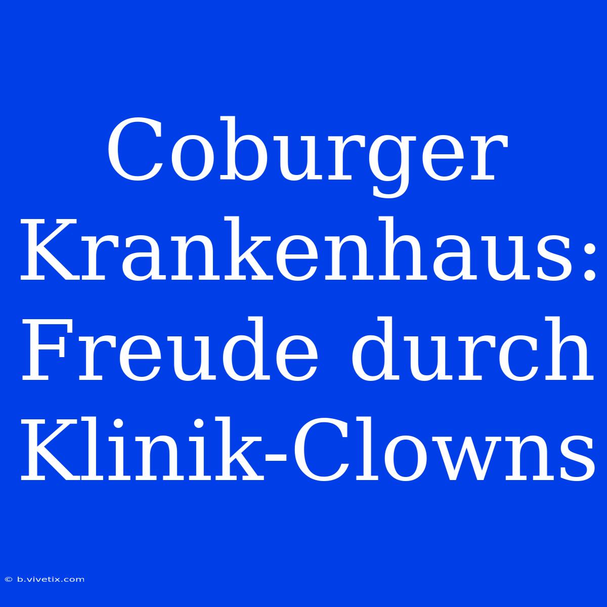 Coburger Krankenhaus: Freude Durch Klinik-Clowns