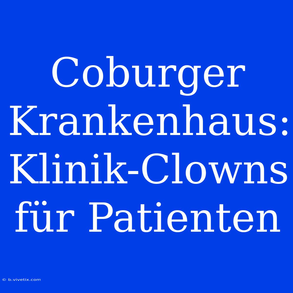 Coburger Krankenhaus: Klinik-Clowns Für Patienten