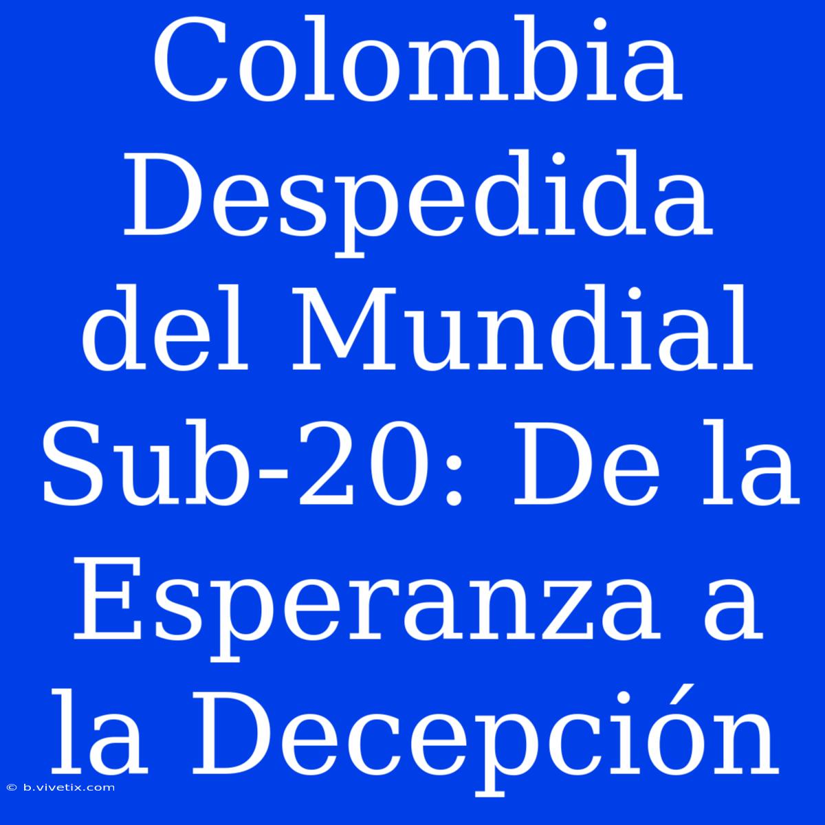 Colombia Despedida Del Mundial Sub-20: De La Esperanza A La Decepción