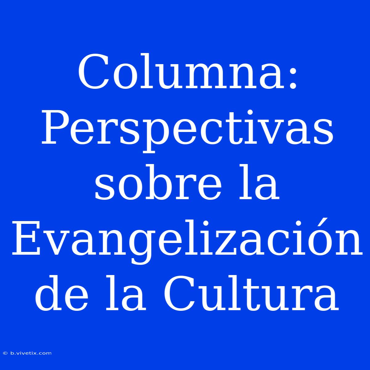 Columna: Perspectivas Sobre La Evangelización De La Cultura