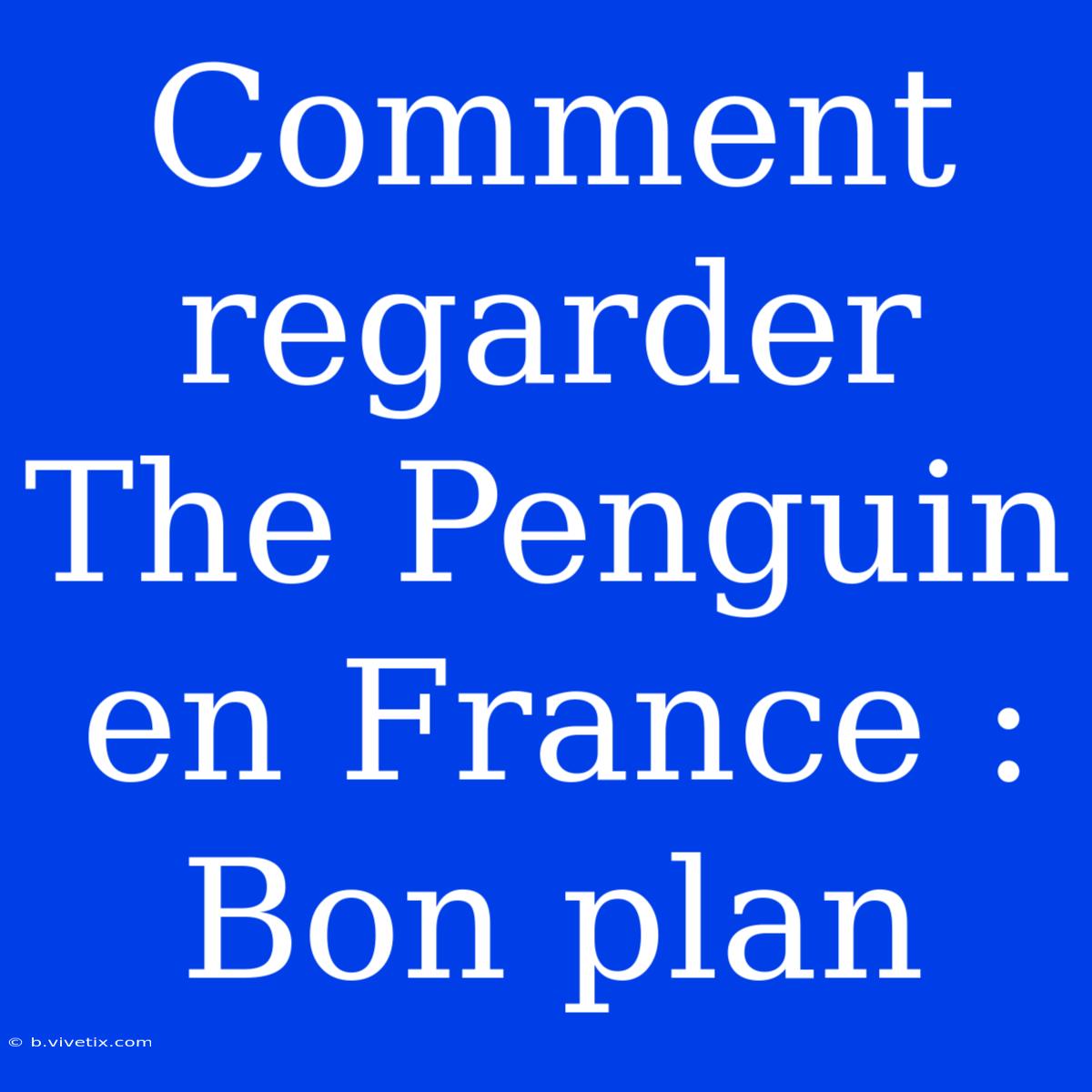 Comment Regarder The Penguin En France : Bon Plan