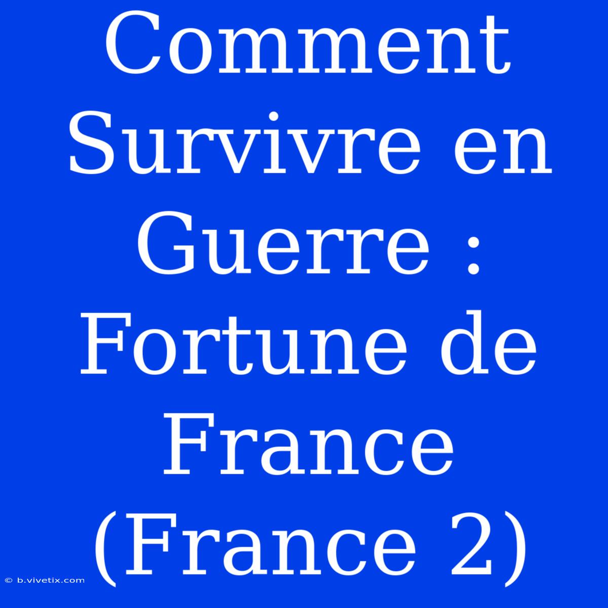 Comment Survivre En Guerre : Fortune De France (France 2)