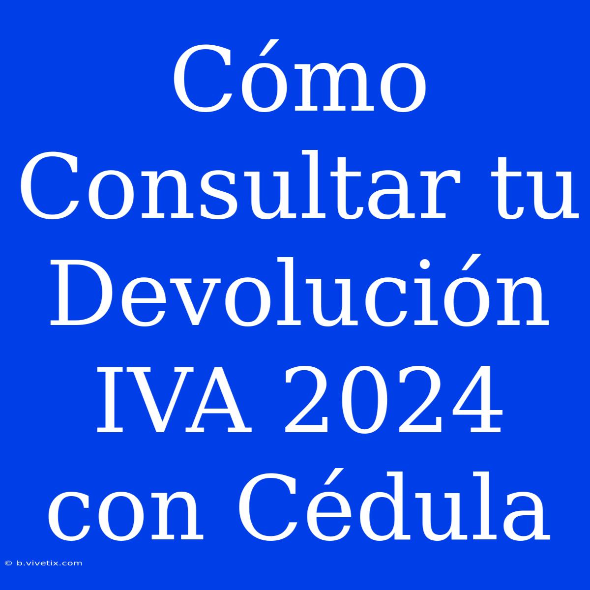 Cómo Consultar Tu Devolución IVA 2024 Con Cédula 