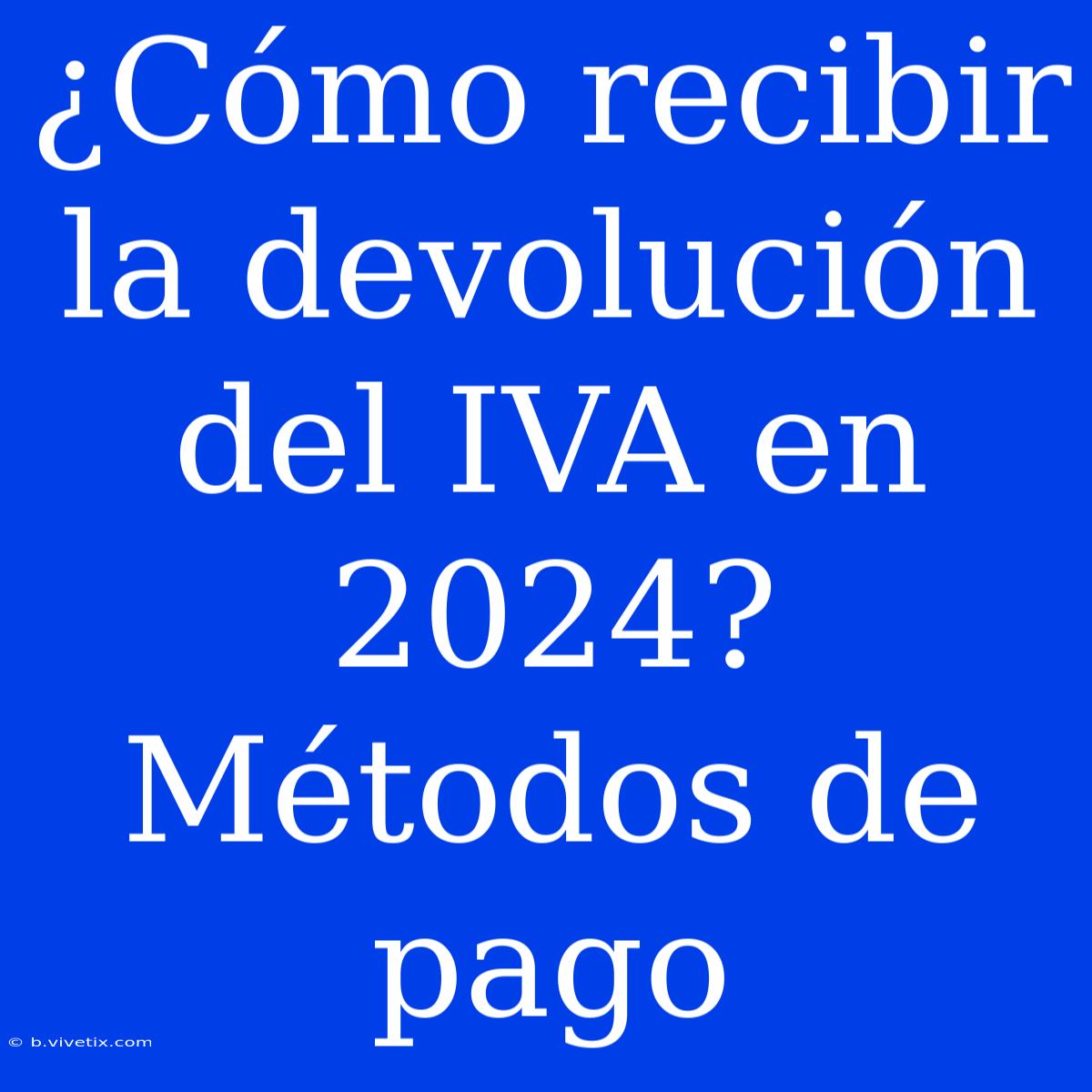 ¿Cómo Recibir La Devolución Del IVA En 2024? Métodos De Pago