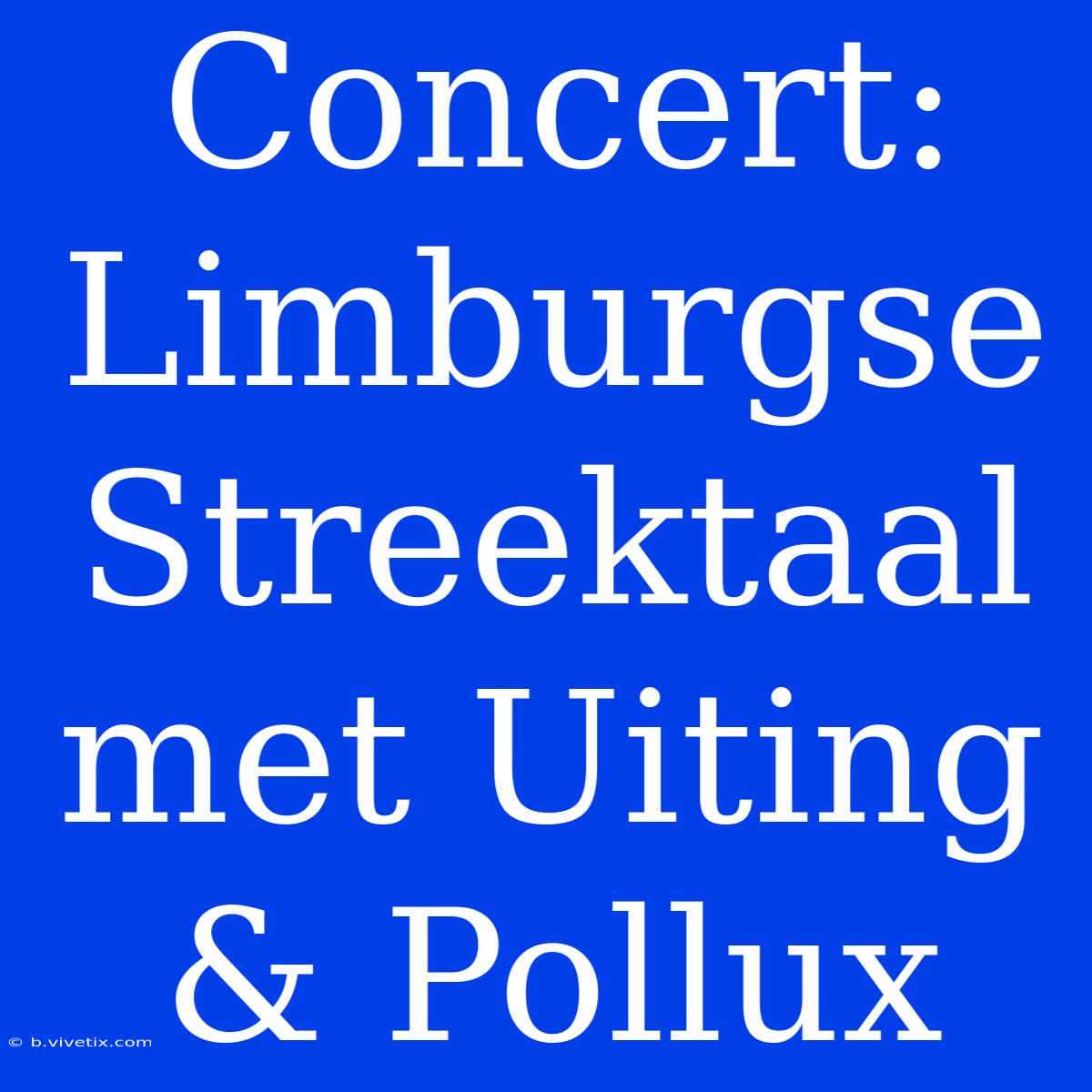 Concert: Limburgse Streektaal Met Uiting & Pollux