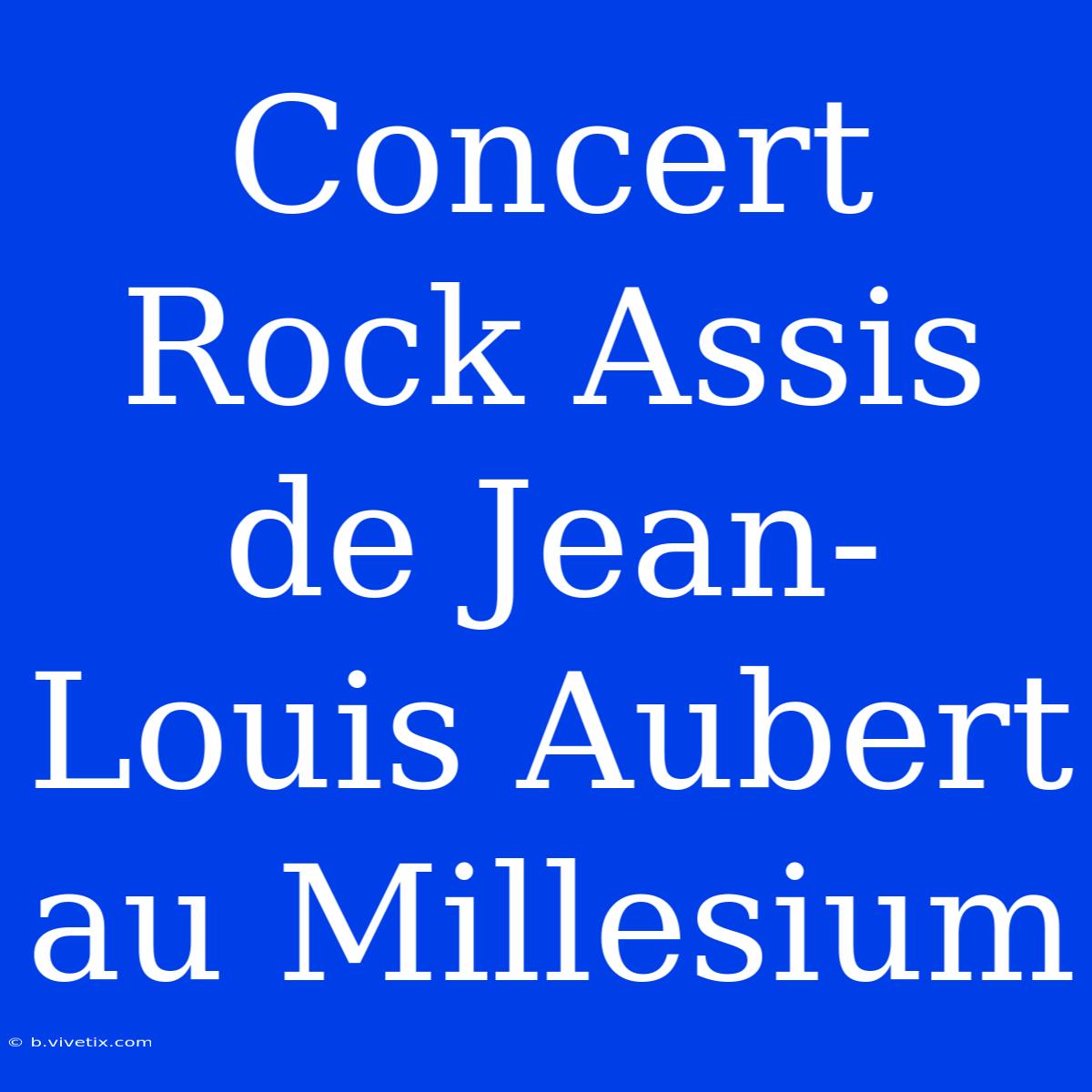 Concert Rock Assis De Jean-Louis Aubert Au Millesium