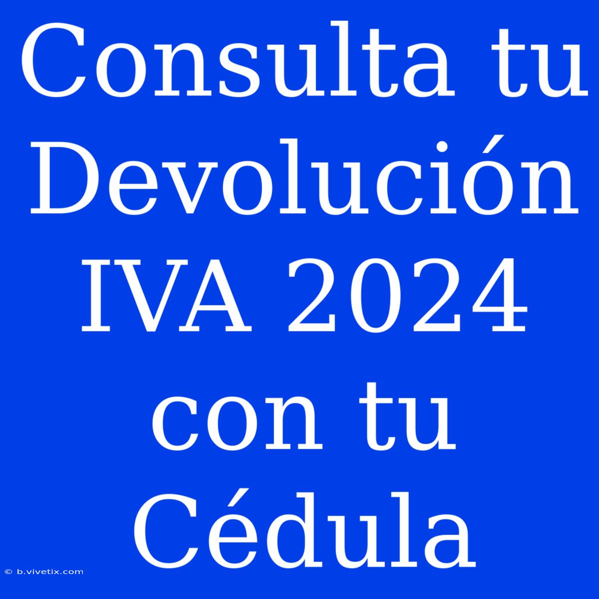 Consulta Tu Devolución IVA 2024 Con Tu Cédula