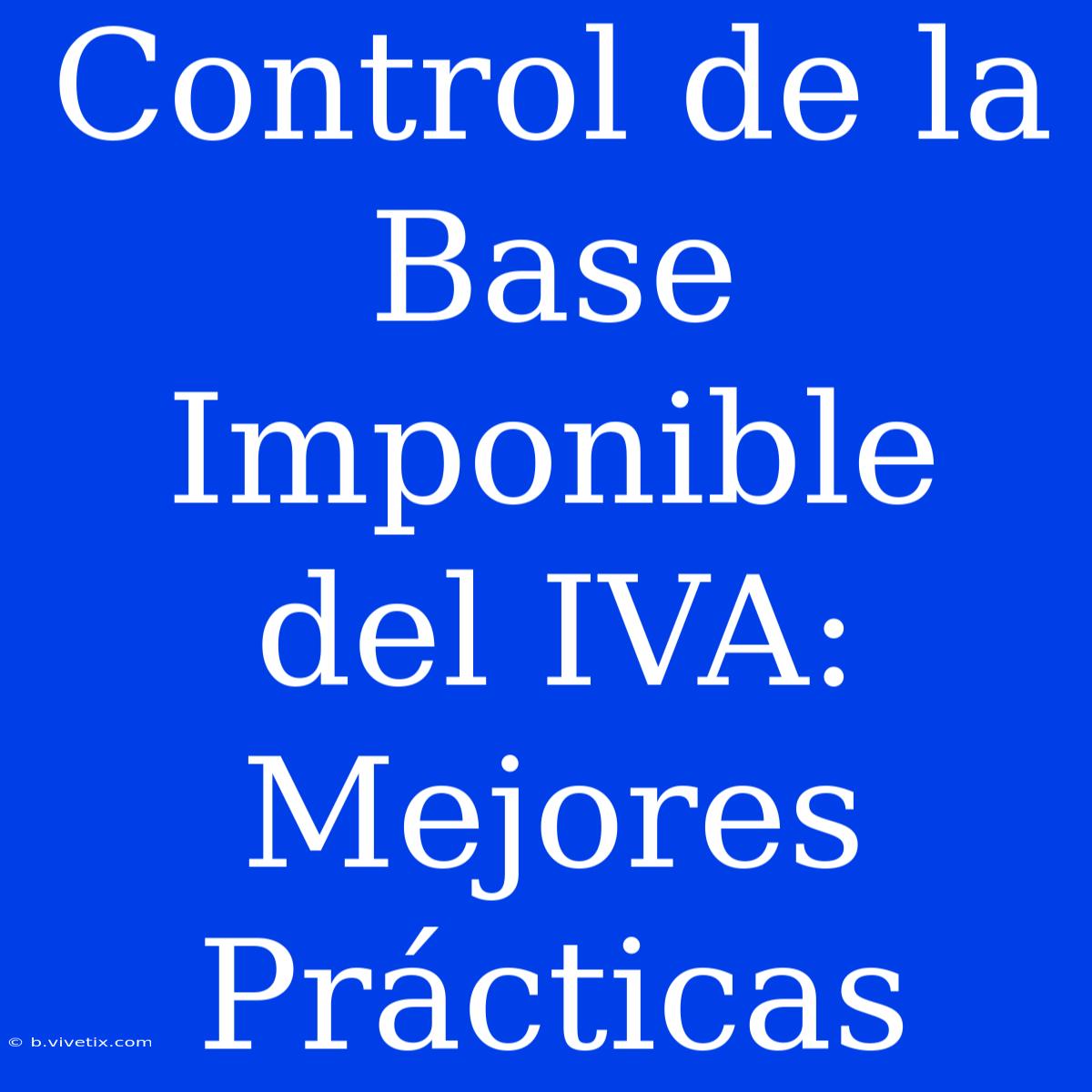 Control De La Base Imponible Del IVA: Mejores Prácticas