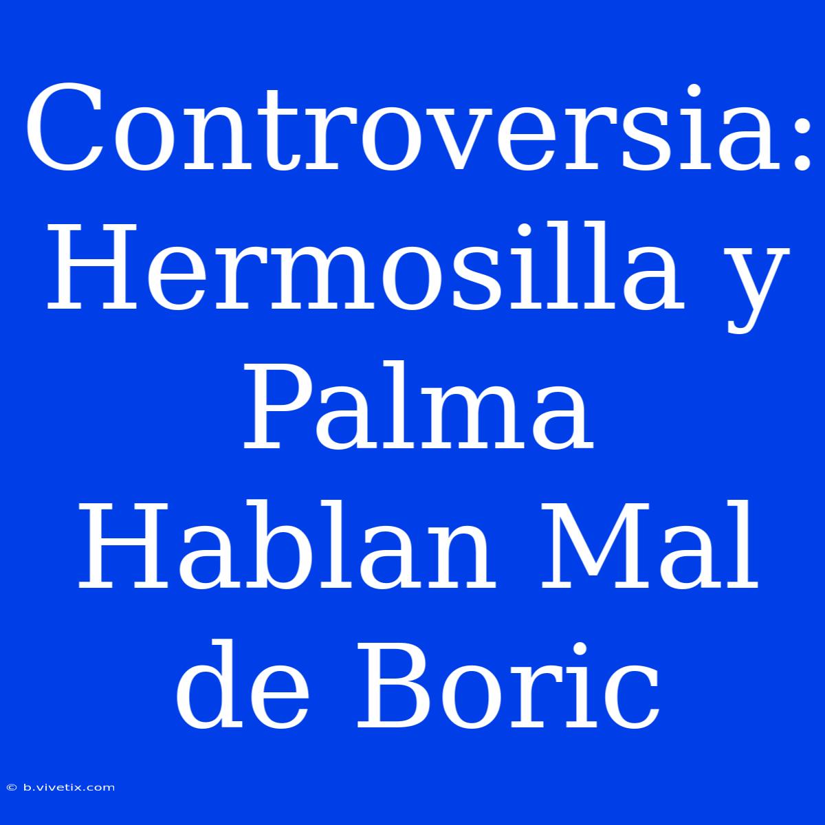 Controversia: Hermosilla Y Palma Hablan Mal De Boric