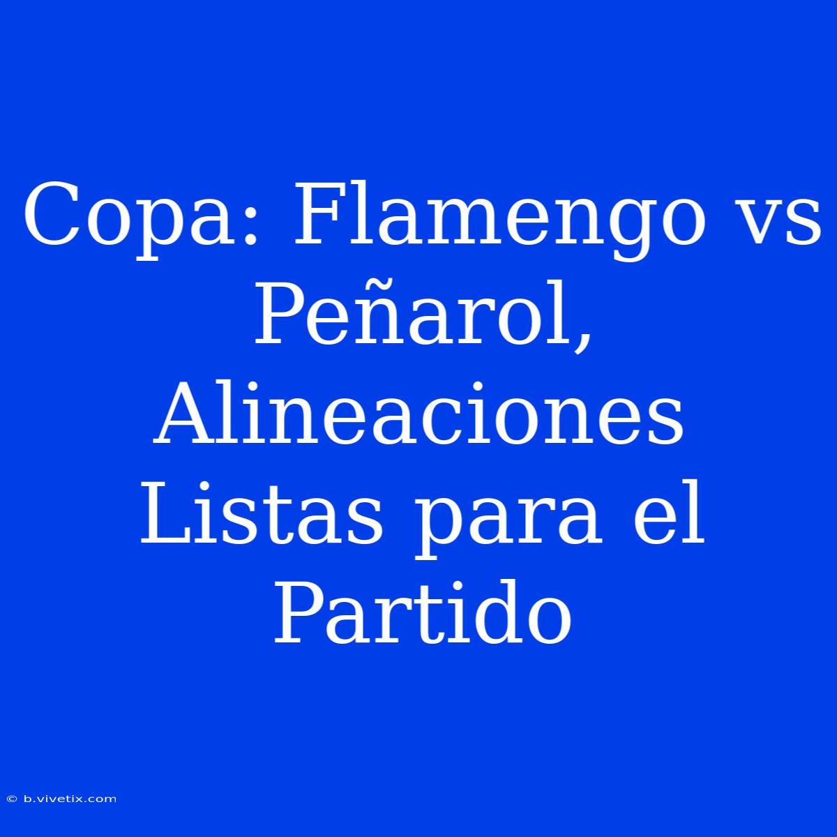 Copa: Flamengo Vs Peñarol,  Alineaciones Listas Para El Partido