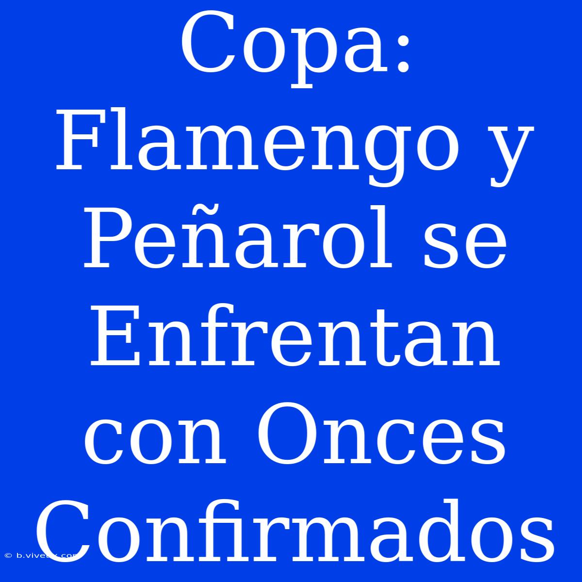 Copa: Flamengo Y Peñarol Se Enfrentan Con Onces Confirmados