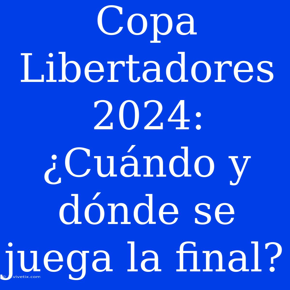 Copa Libertadores 2024: ¿Cuándo Y Dónde Se Juega La Final?