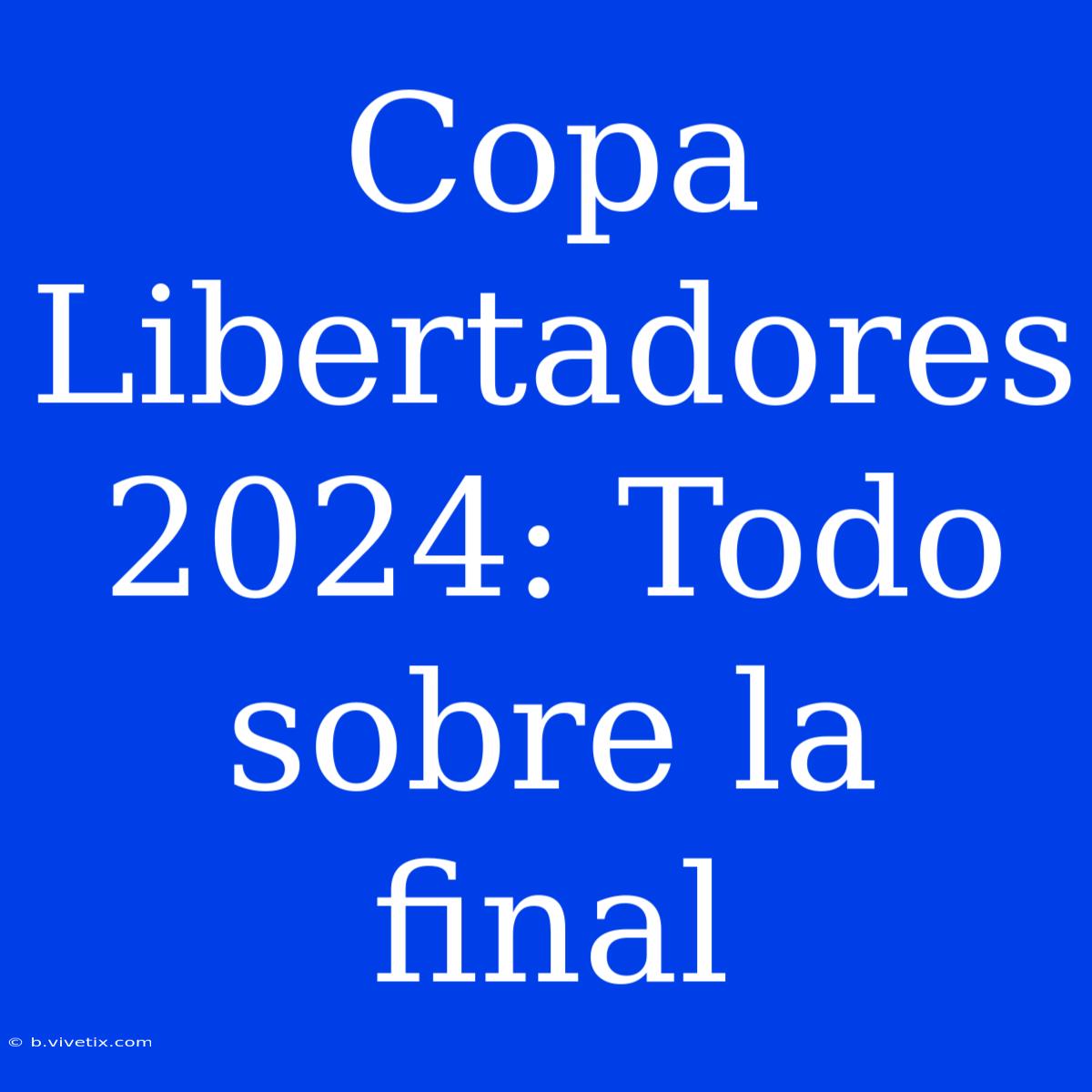 Copa Libertadores 2024: Todo Sobre La Final