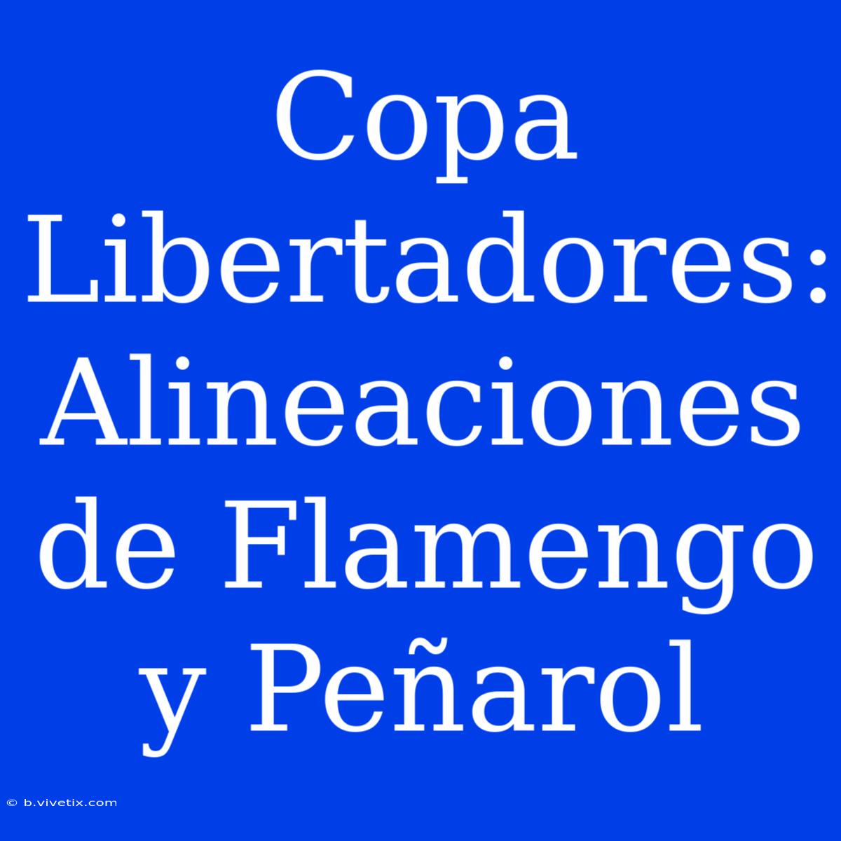 Copa Libertadores: Alineaciones De Flamengo Y Peñarol