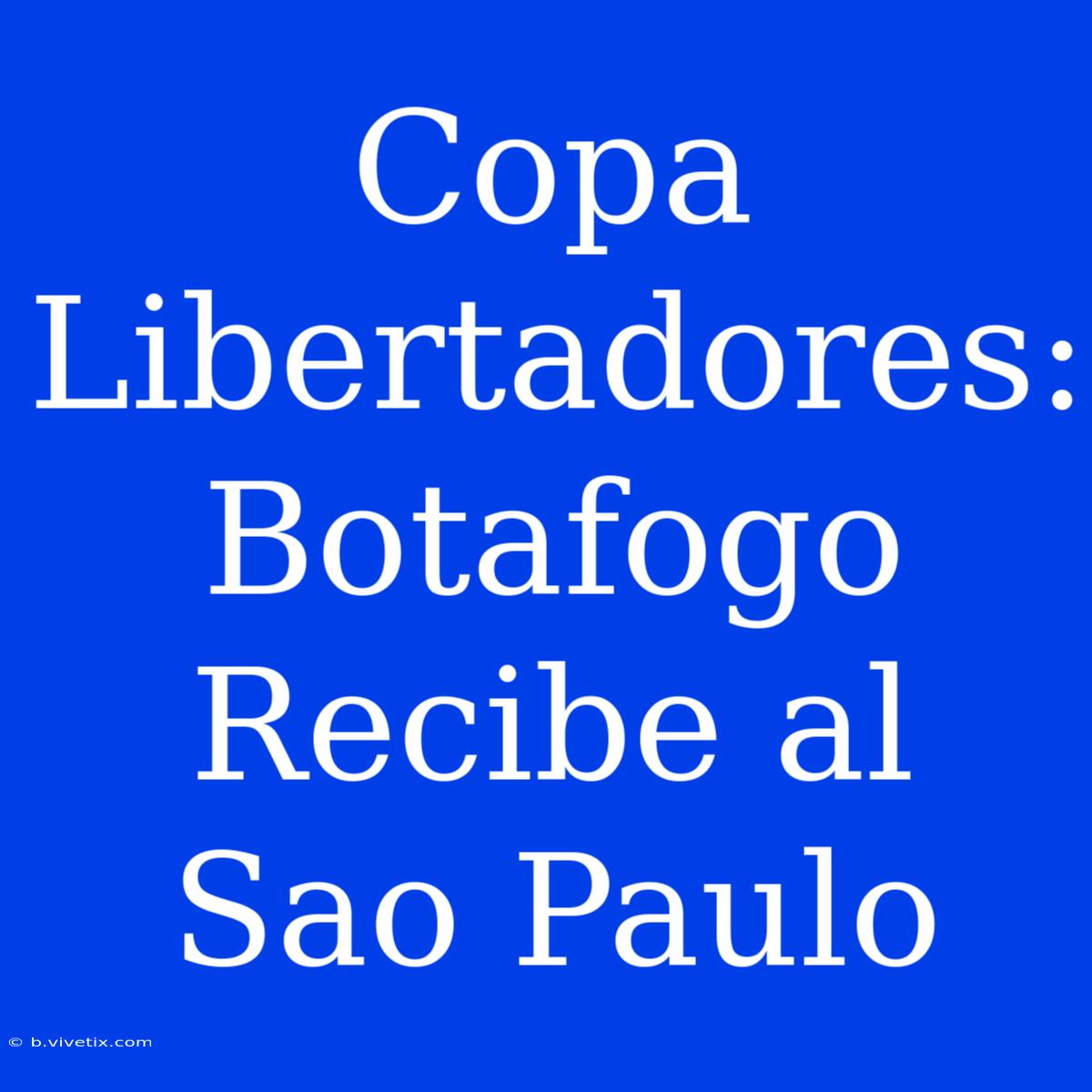 Copa Libertadores: Botafogo Recibe Al Sao Paulo