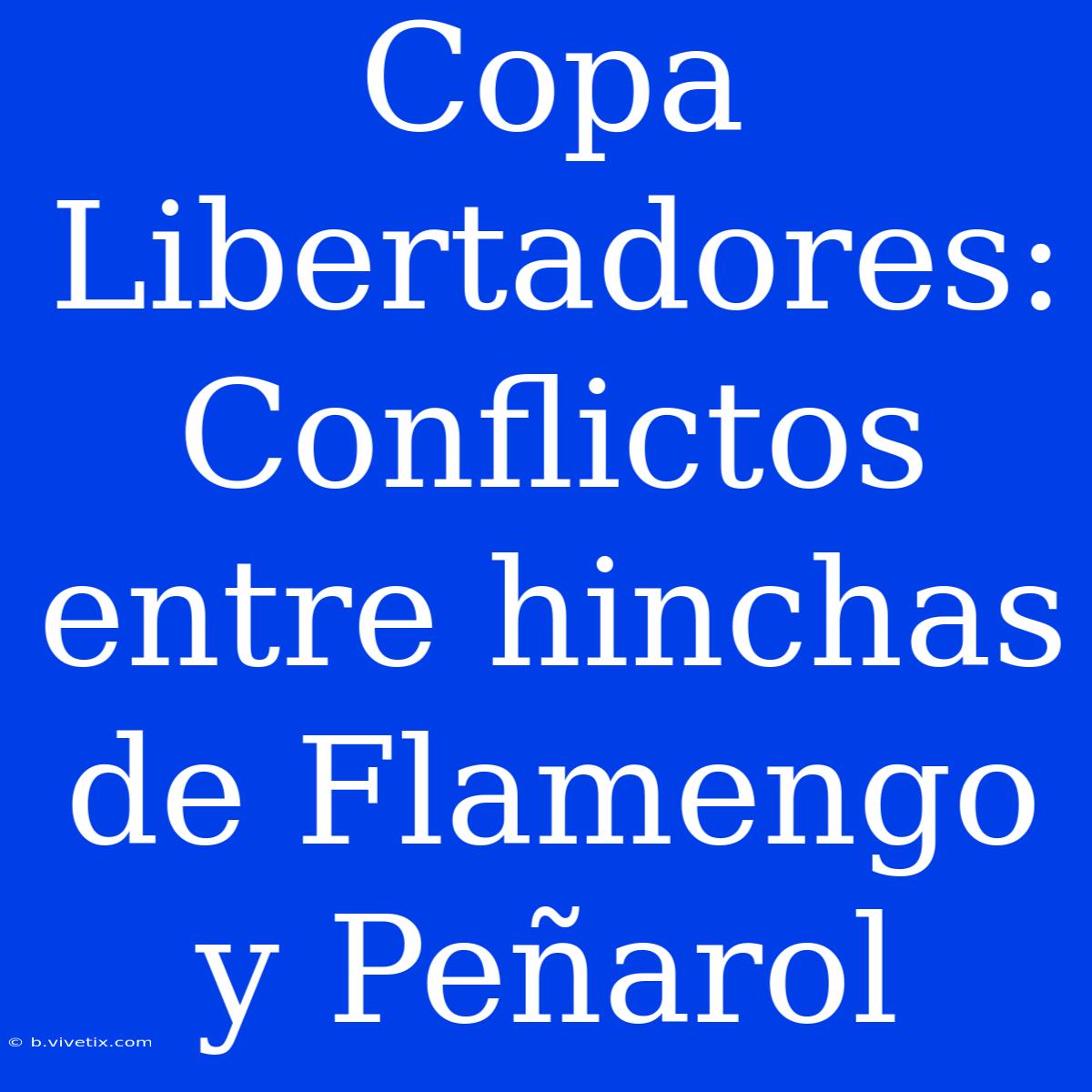 Copa Libertadores: Conflictos Entre Hinchas De Flamengo Y Peñarol