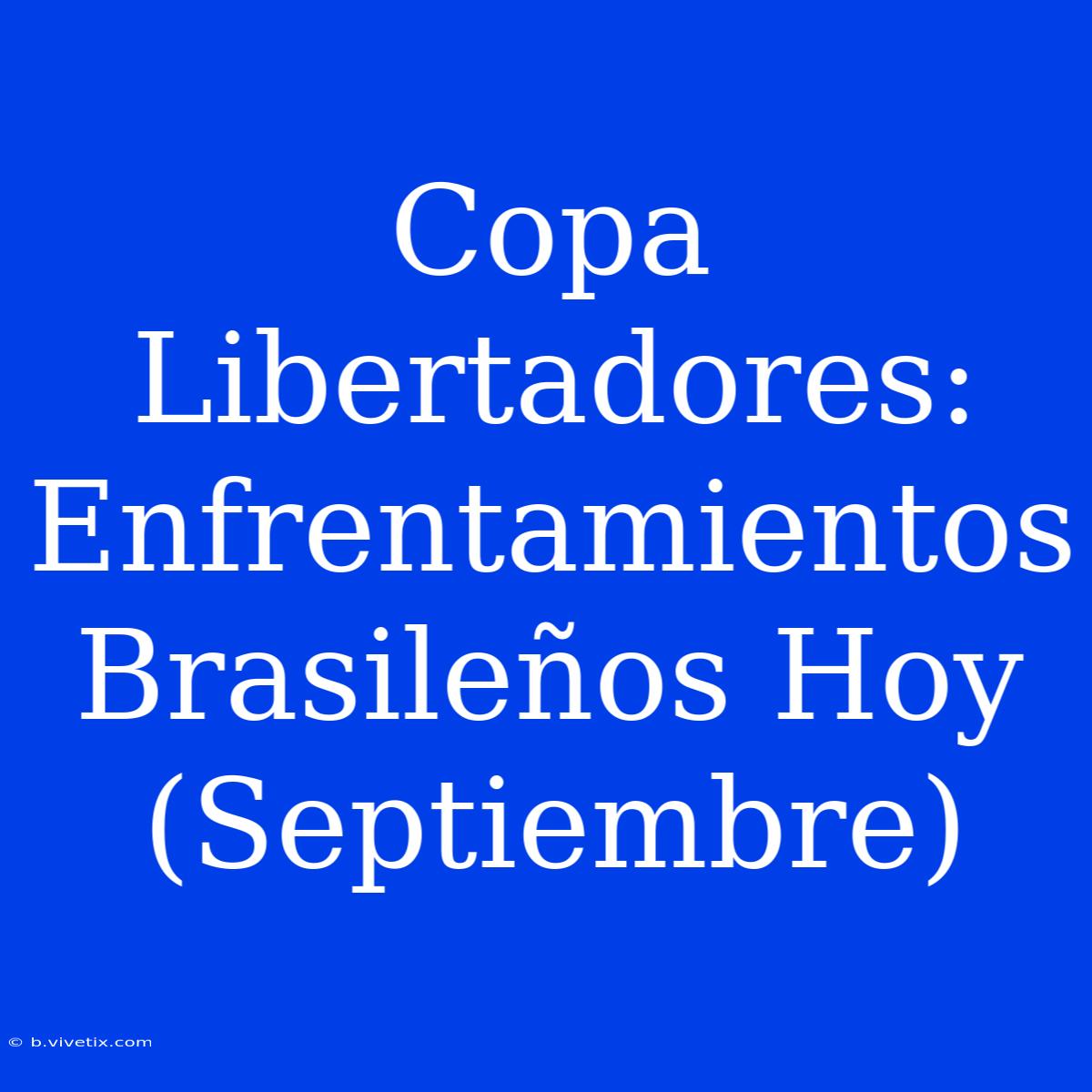 Copa Libertadores: Enfrentamientos Brasileños Hoy (Septiembre)