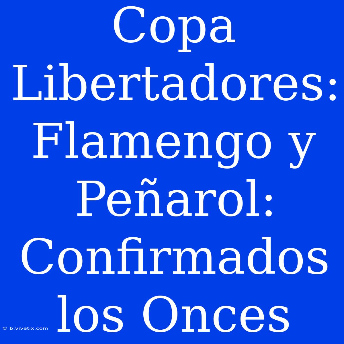 Copa Libertadores: Flamengo Y Peñarol:  Confirmados Los Onces