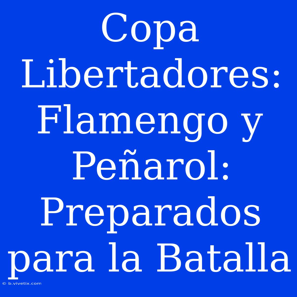 Copa Libertadores: Flamengo Y Peñarol:  Preparados Para La Batalla 