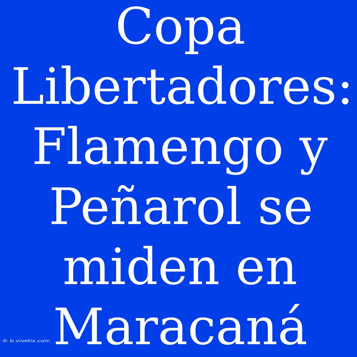 Copa Libertadores: Flamengo Y Peñarol Se Miden En Maracaná