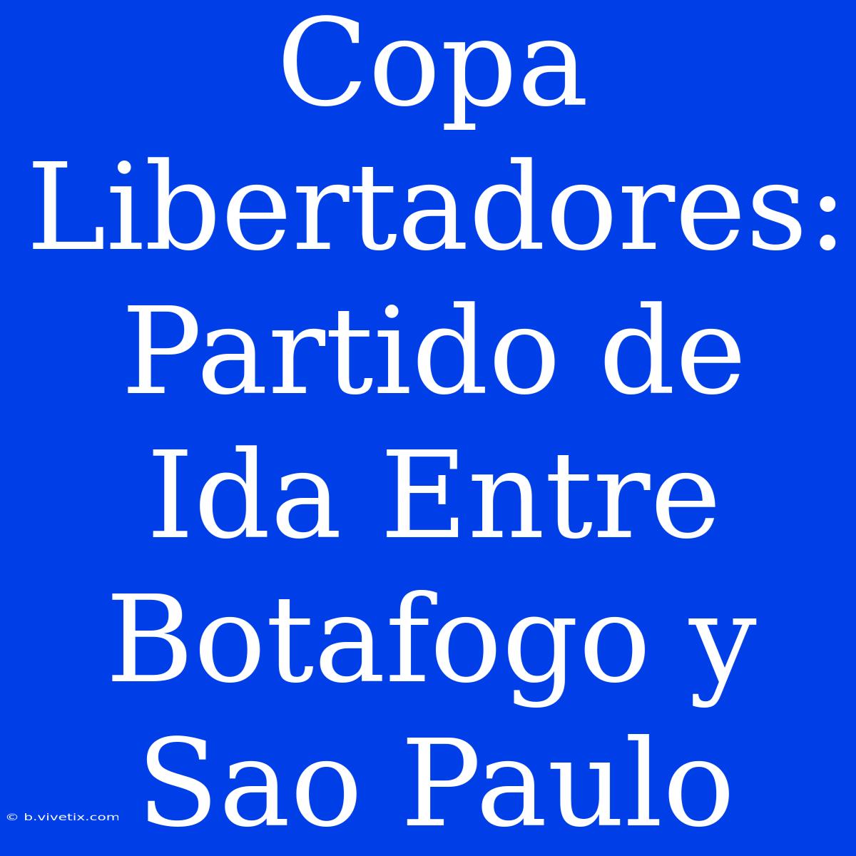 Copa Libertadores: Partido De Ida Entre Botafogo Y Sao Paulo