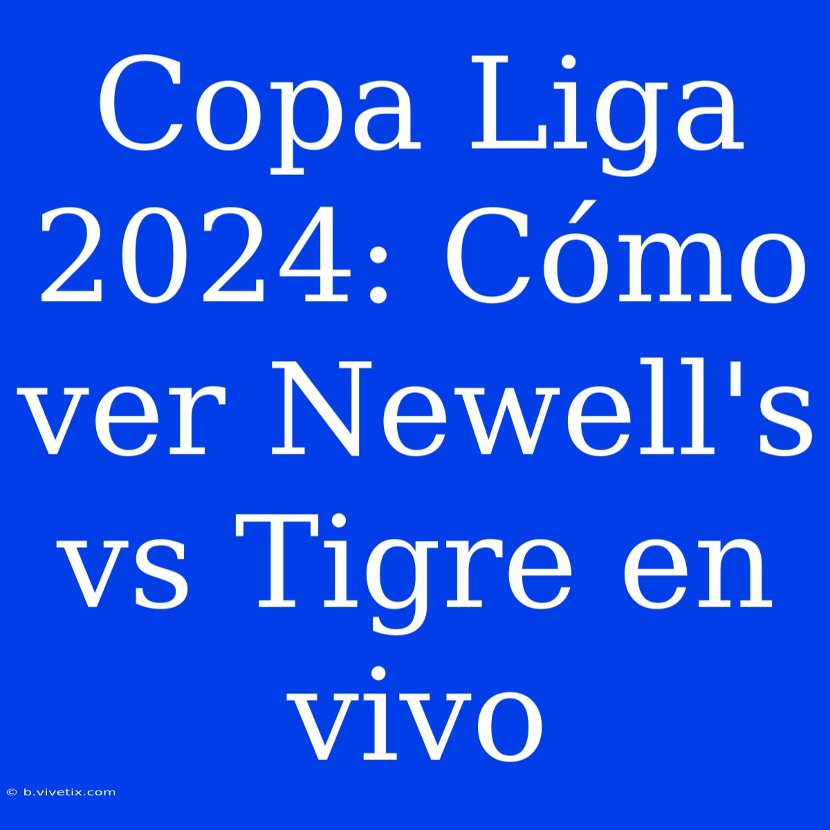 Copa Liga 2024: Cómo Ver Newell's Vs Tigre En Vivo