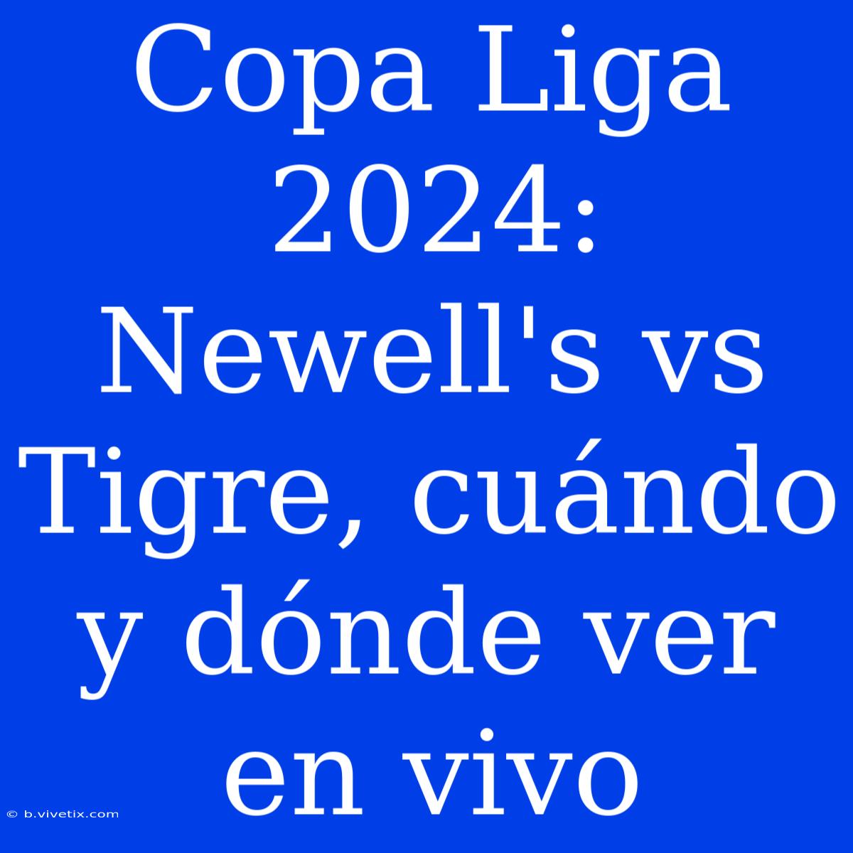 Copa Liga 2024: Newell's Vs Tigre, Cuándo Y Dónde Ver En Vivo