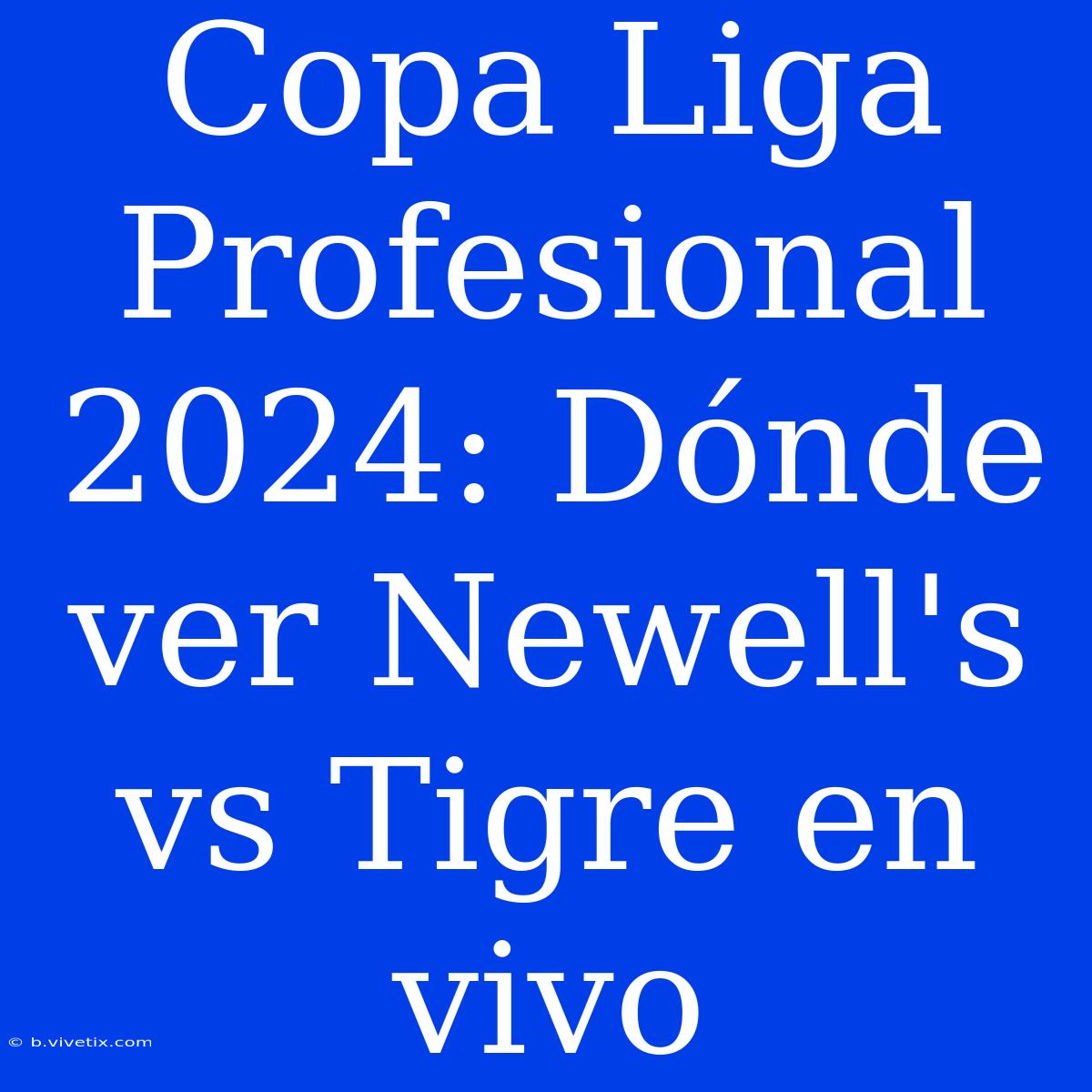 Copa Liga Profesional 2024: Dónde Ver Newell's Vs Tigre En Vivo 